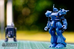 20110824-GServo-0008