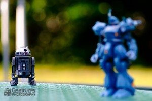 20110824-GServo-0009