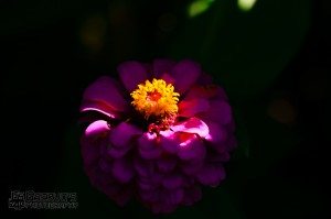 F/3.2