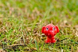 20110902-GServo-0006
