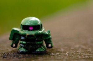 20110902-GServo-0010