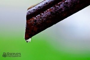 20110904-GServo-0052