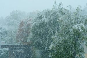 Our first snowfall - in October!