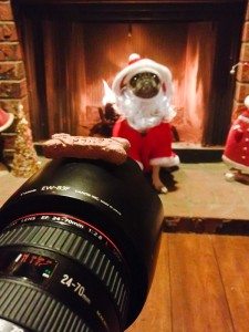 Place a treat on the lens (hood)