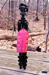 20120205-GServo-0066