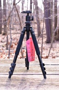 20120205-GServo-0069