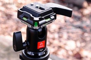 20120205-GServo-0092