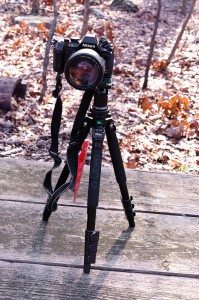 20120205-GServo-0097