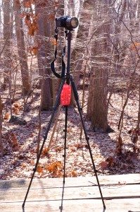 20120205-GServo-0109