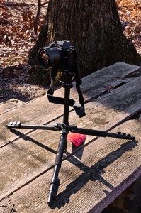 20120205-GServo-0132
