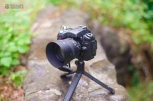 20120728Gservo-3654