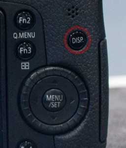 GH3 Display Button
