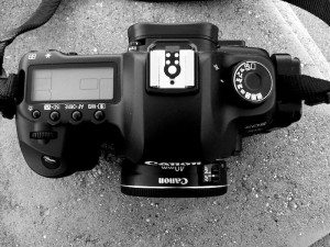 Canon 40mm STM on 5DmkII