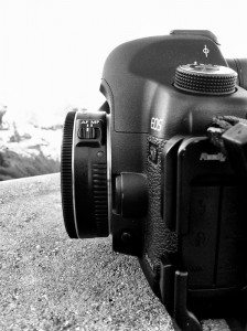 Canon 40mm STM on 5DmkII