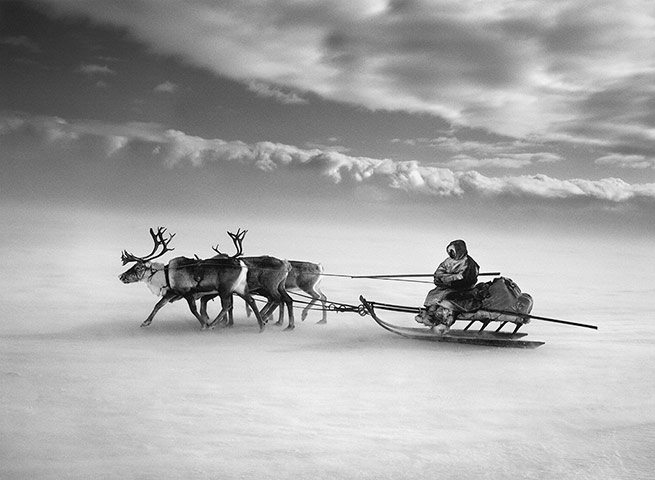The larger sledges are driven by the women