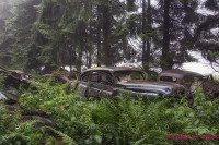 Forgotten by Time: Rosanne de Lange's Photographs of the Chatillon Car Graveyard