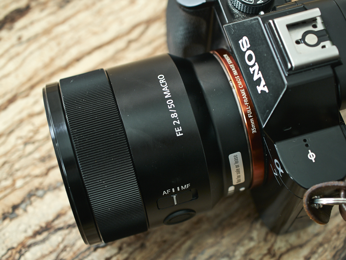Macro Lens Review: Sony 50mm f2.8 Macro (Sony FE)