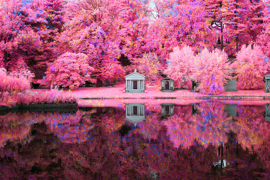 Infrared Photography Turns Swiss Landscapes into Pink 
