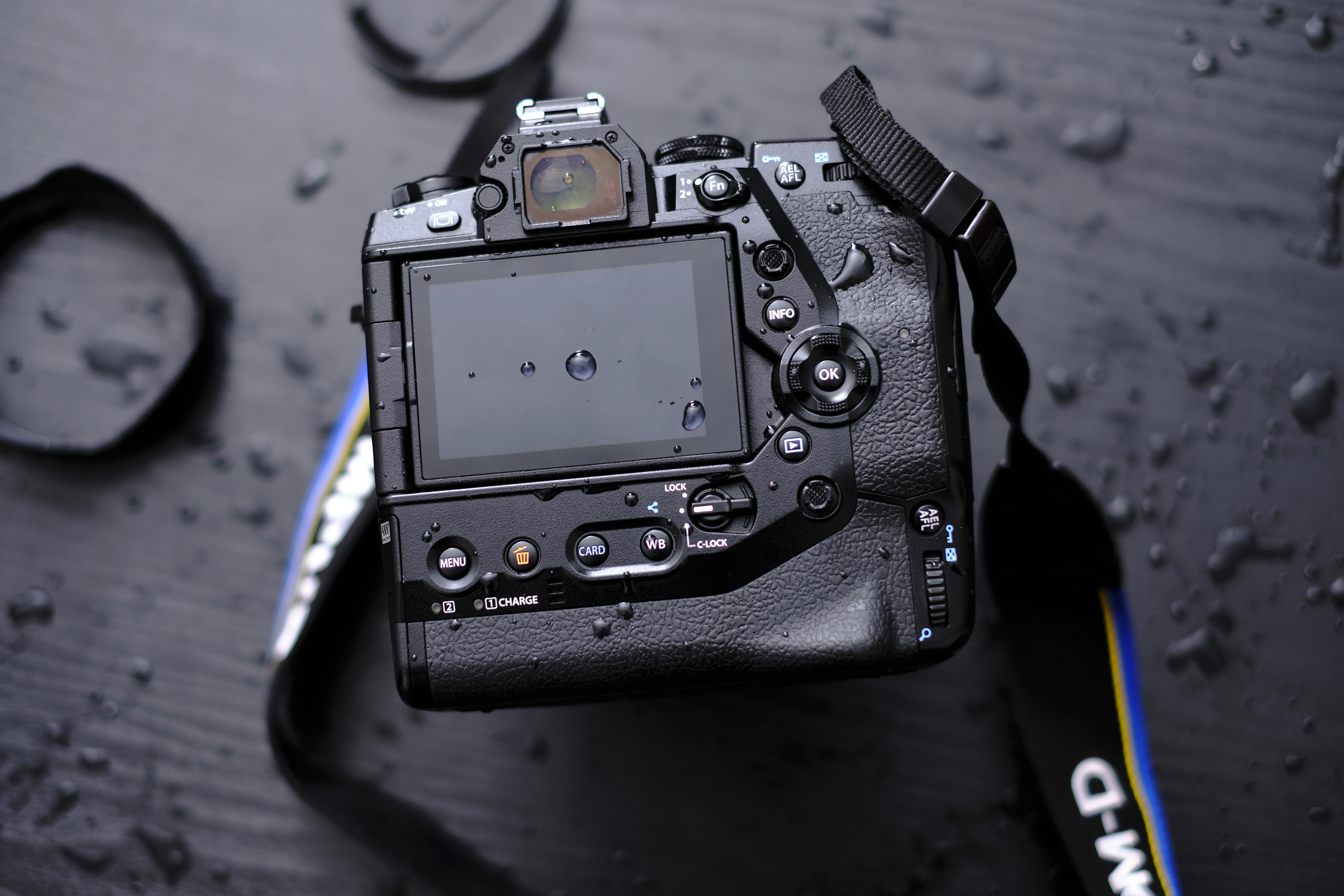 Review: Olympus OMD EM1X (Would You Do This to a Camera?)