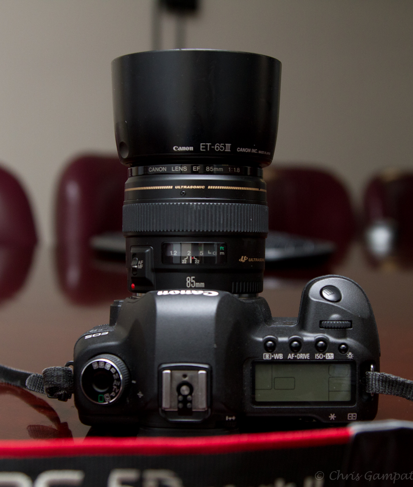 Geschatte lobby congestie Long Term Review: Canon 85mm F/1.8 Lens - The Phoblographer