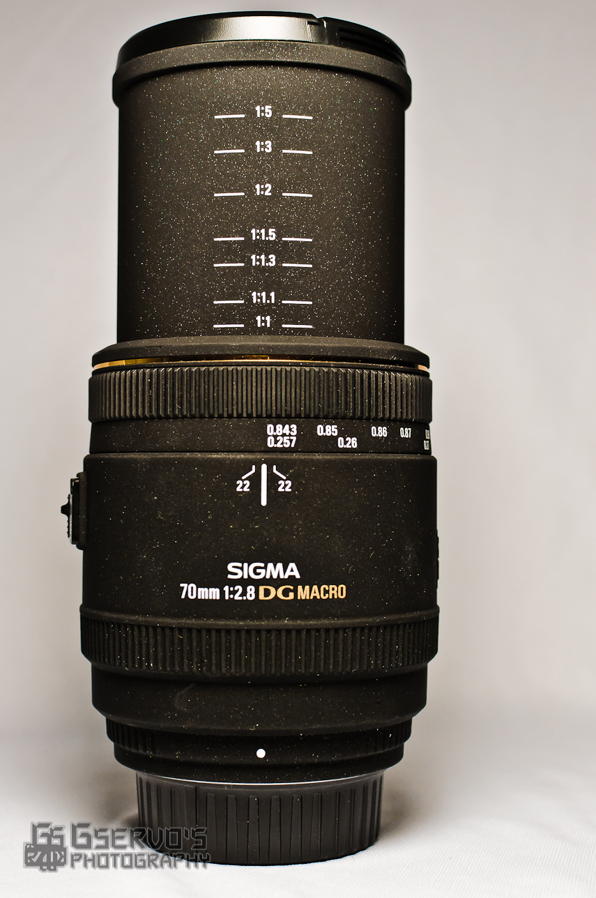 Review: Sigma 70mm F2.8 EX DG Macro - The Phoblographer