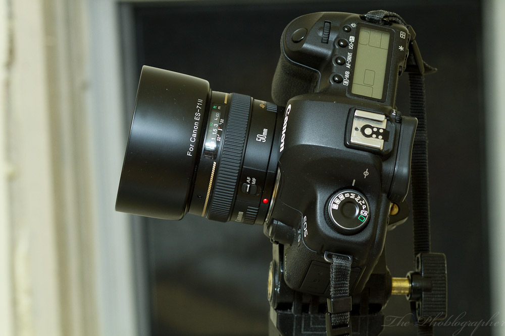 Long Term Review: Canon 50mm f1.4 Lens