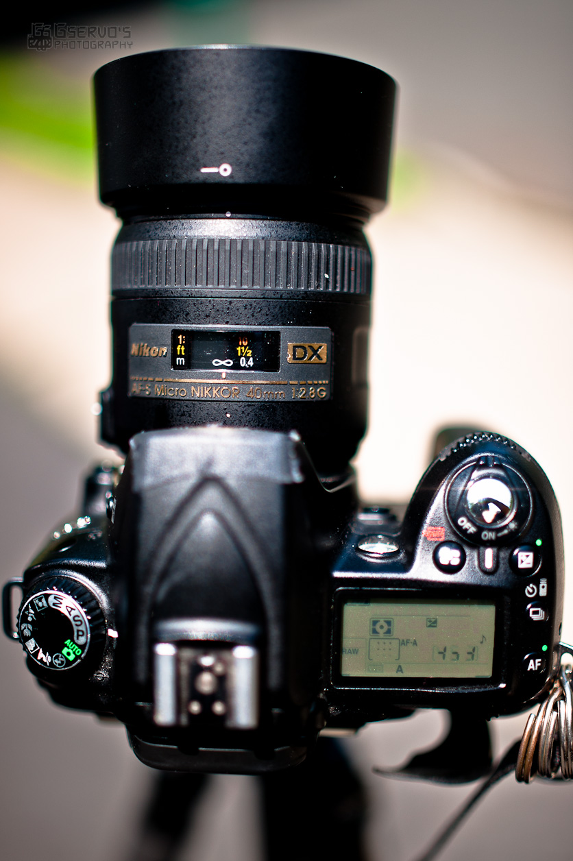 Long Term Review: Nikon 40mm f2.8G AF-S DX Micro-NIKKOR - The