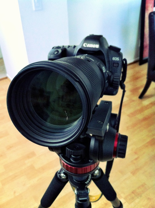 Review: Sigma APO Macro 180mm f/2.8 EX DG OS HSM (Canon EF Mount 