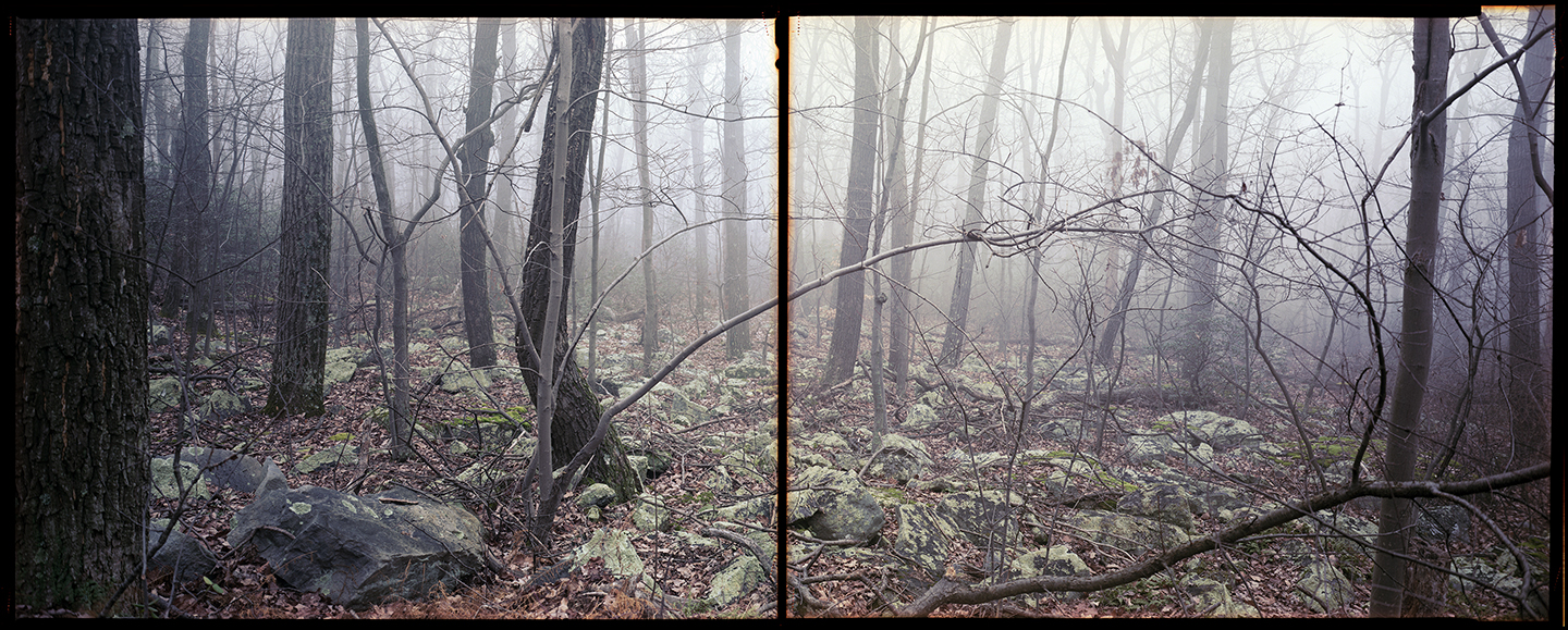 These Are What 8×20 Kodak Portra Film Scans Looks Like