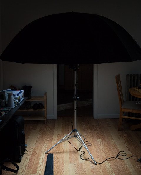 Chris Gampat The Phoblographer Westcott 7 foot umbrella product photos (3 of 3)ISO 1001-200 sec at f - 8.0
