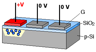 CCD charge transfer animation | Image courtesy of Wikimedia Commons