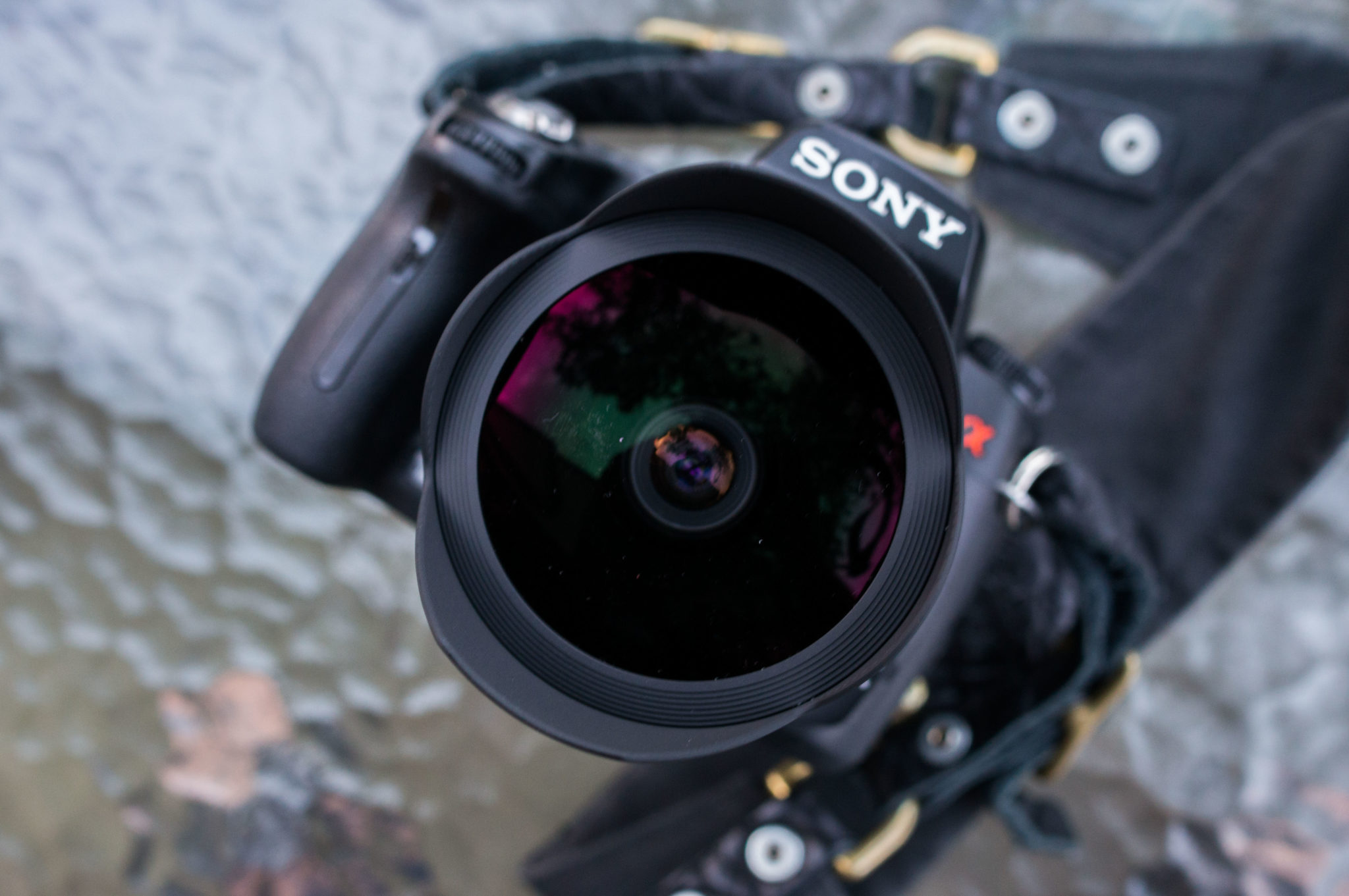 Review: Sigma 15mm f2.8 DG Fisheye (Sony Alpha) - The Phoblographer