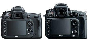 Nikon-D610-vs--D800-rear