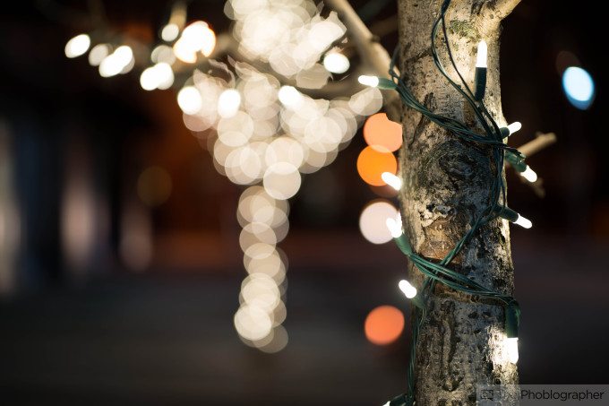Pro Tip: the secret to better bokeh requires you to get close to your subject and shoot wide open.