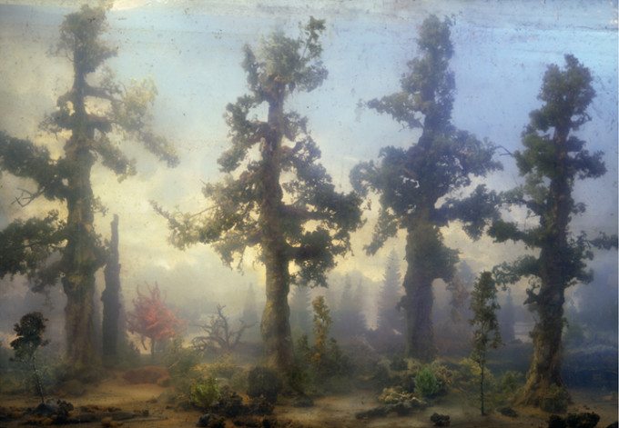 4408-forest-68c-32x45-51x72-59x83-20071