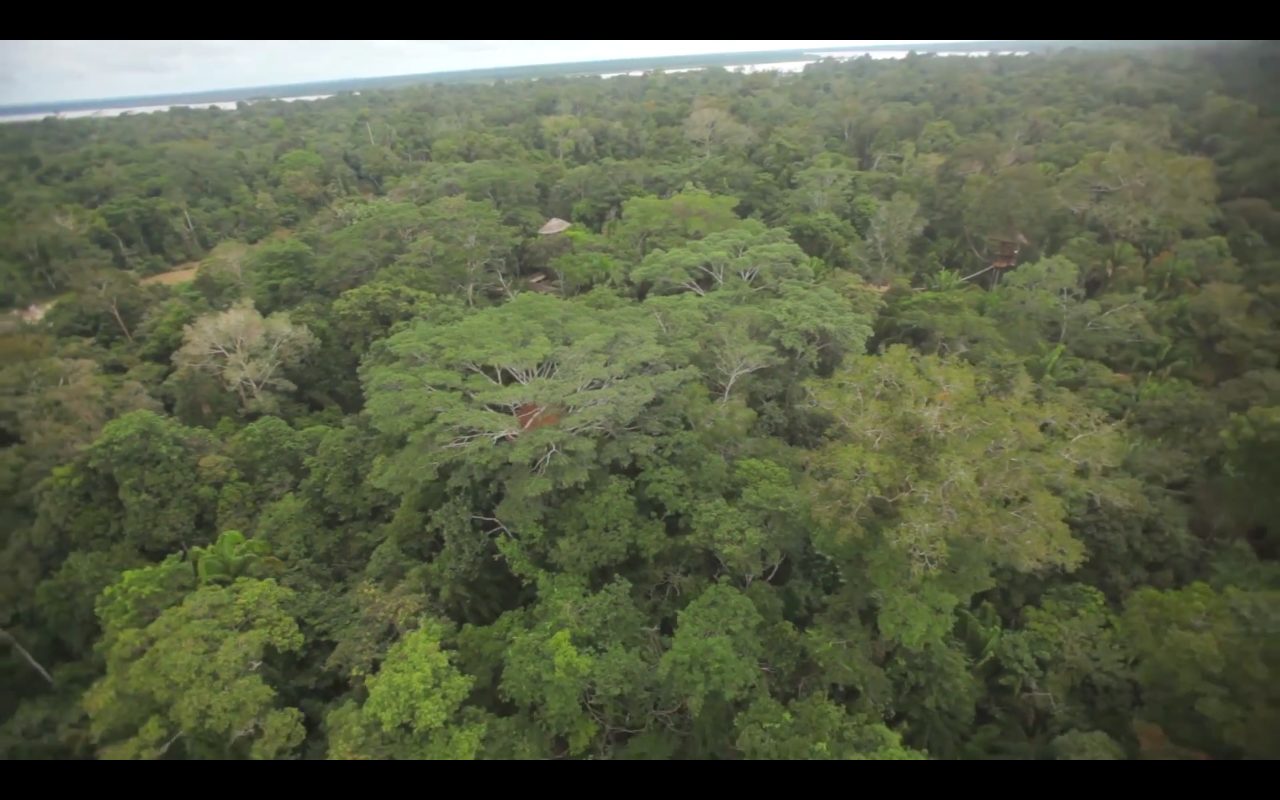 Rogue Drone Goes Off on an Adventure in the Amazon Rainforest