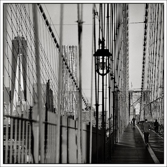 "the bridge" (from the collection "NYC")