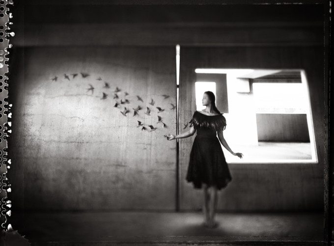 Polly_Chandler-And-The-Broken-Umbrellas-Like-Dead-Birds