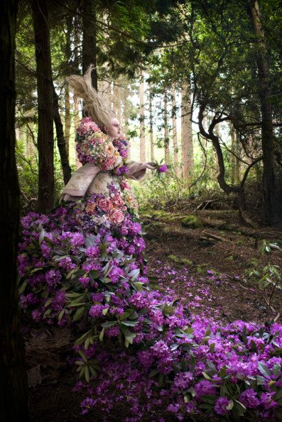 Kristy Mitchell Wonderland The Last Dance Of The Flowers
