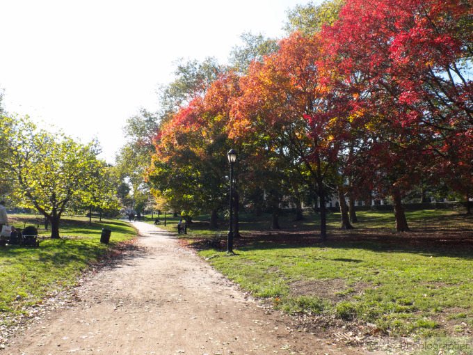 The Phoblographer Fujifilm X30 review images (33 of 37)ISO 1001-60 sec at f - 9.0