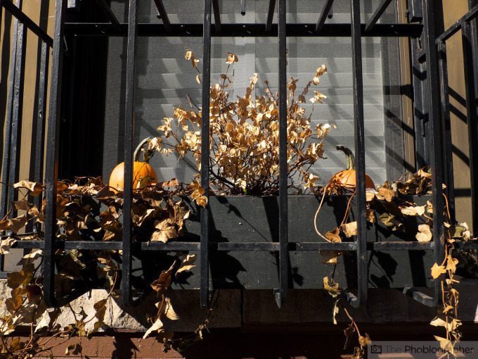 The Phoblographer Fujifilm X30 review images (35 of 37)ISO 1001-800 sec at f - 3.6