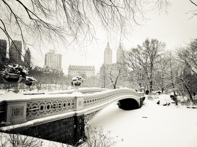 a winter's tale - new york winter -  central park snow