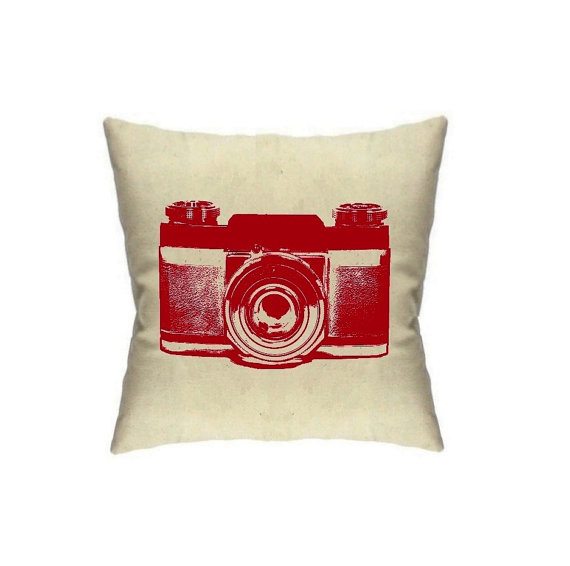 Camera pillow