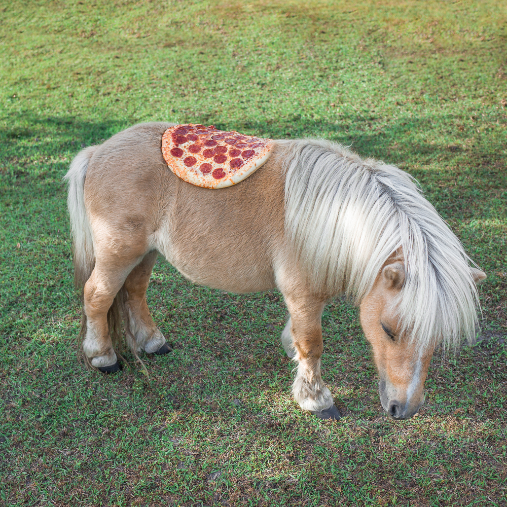Pizza_pony