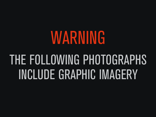 graphic_image_warning