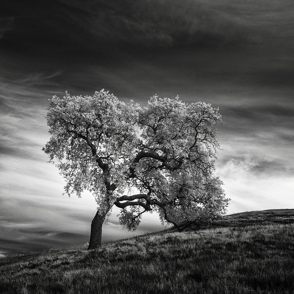 how to take black and white photos with sony cybershot