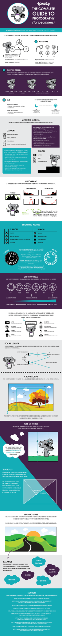 Photography-guide-infographic-compressed