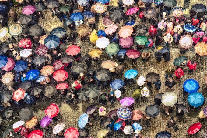 ‘Wet With Rain’ by Rory McDonald. 4th in the expert vote, 6th in the crowd vote.  "Although there are so many different subjects and elements in this photo, they all create one big, impressive layer. You can either admire the moment as a whole or go through the dozens of subjects. Besides that, the colours fill the frame with so much positivity and life. The only way to make this photo even cooler is if it had one striking subject looking up. But even without this one tiny cherry on the top of the cake, it's still an incredibly delicious cake!” - Marius Vieth