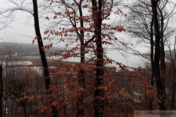 Chris Gampat The Phoblographer Canon 35mm f1.4 L USM II first impressions sample photos (14 of 25)ISO 2001-250 sec at f - 4.0