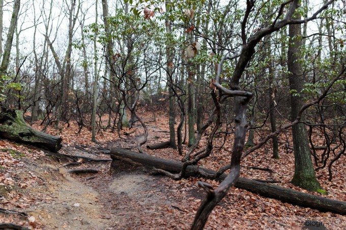 Chris Gampat The Phoblographer Canon 35mm f1.4 L USM II first impressions sample photos (17 of 25)ISO 2001-200 sec at f - 2.0